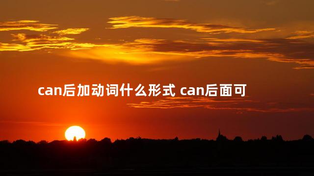 can后加动词什么形式 can后面可以加动词吗